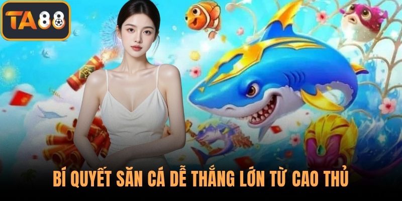 Bí quyết săn cá dễ thắng lớn từ cao thủ