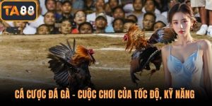 Cá Cược Đá Gà – Cuộc Chơi Của Tốc Độ, Kỹ Năng Và May Mắn