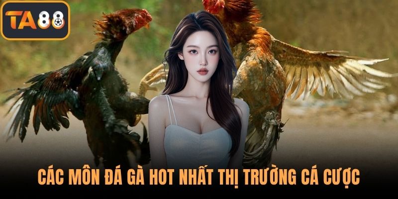 Các môn đá gà hot nhất thị trường cá cược