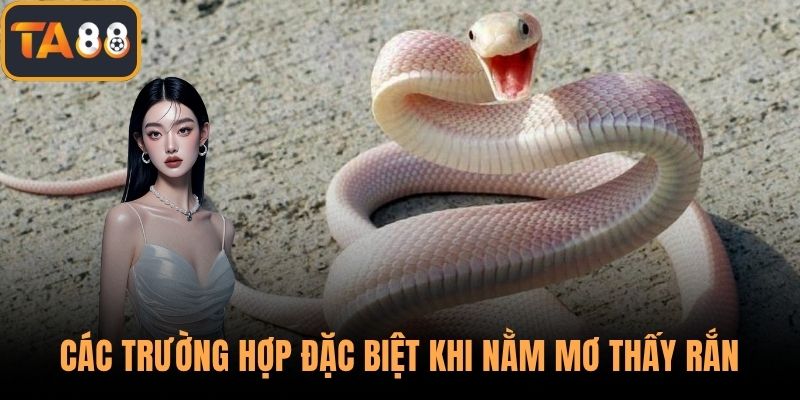 Các trường hợp đặc biệt khi nằm mơ thấy rắn