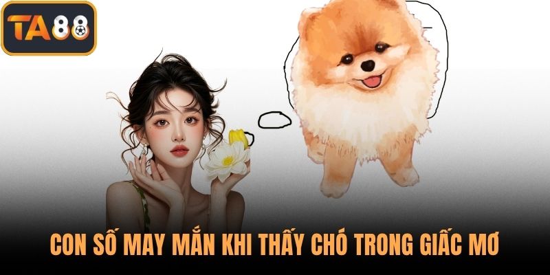 Con số may mắn khi thấy chó trong giấc mơ