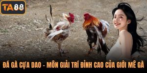 Đá Gà Cựa Dao – Môn Giải Trí Đỉnh Cao Của Giới Mê Gà