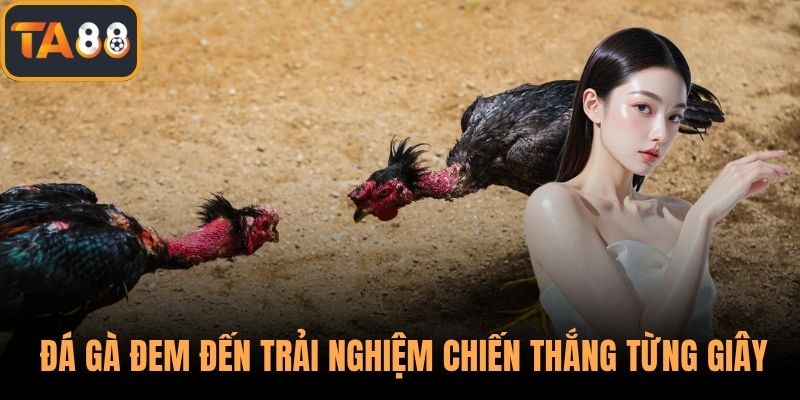 Môn đá gà đem đến trải nghiệm chiến thắng từng giây