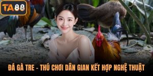 Đá Gà Tre – Tinh Hoa Thú Chơi Dân Gian Kết Hợp Nghệ Thuật