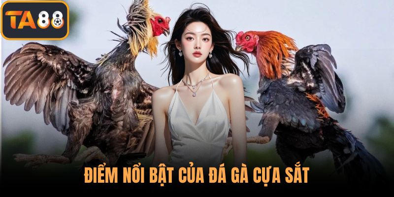 Điểm nổi bật của đá gà cựa sắt