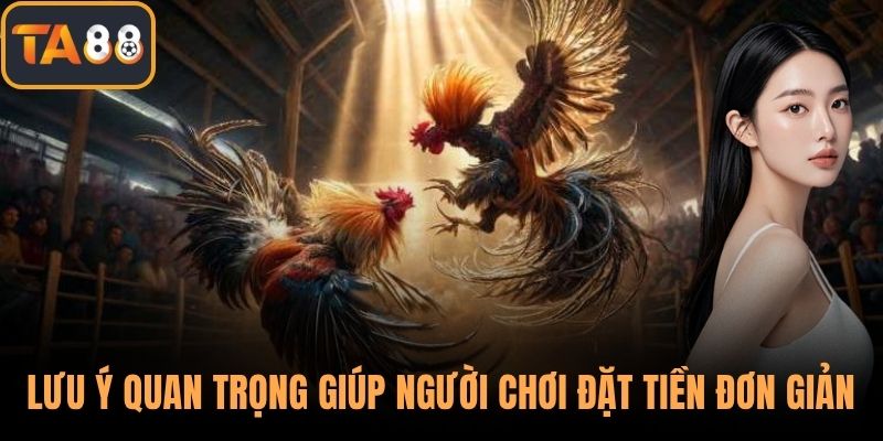 Lưu ý quan trọng giúp người chơi đặt tiền đơn giản