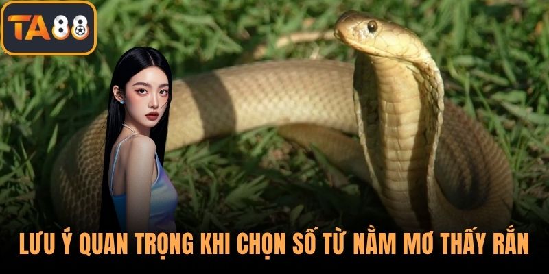 Lưu ý quan trọng khi chọn số từ nằm mơ thấy rắn
