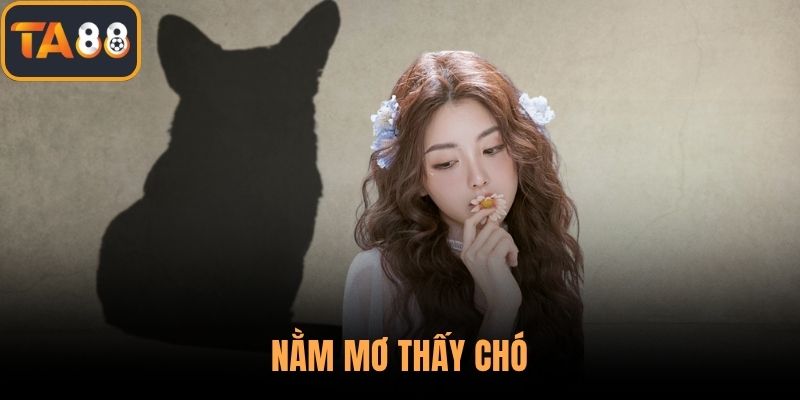 Nằm Mơ Thấy Chó - Giải Mã Giấc Mộng Xổ Số Chuẩn Xác Với TA88