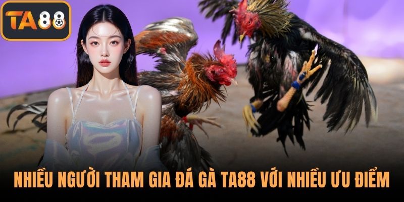 Nhiều người tham gia đá gà TA88 với nhiều ưu điểm