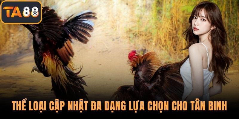 Thể loại cập nhật đa dạng lựa chọn cược cho tân binh