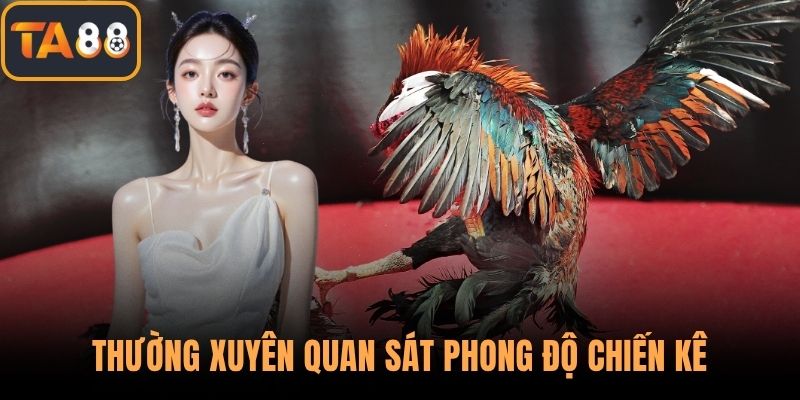 Thường xuyên quan sát phong độ chiến kê
