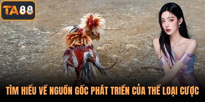 Tìm hiểu về nguồn gốc phát triển của thể loại cược