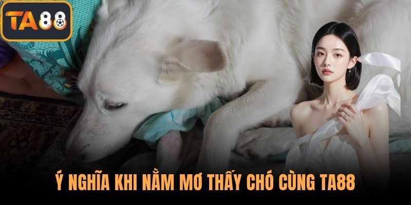 Ý nghĩa khi nằm mơ thấy chó cùng TA88